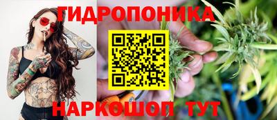 прущие крисы Конаково