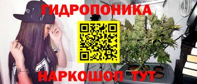 мяу мяу мука Коммунар